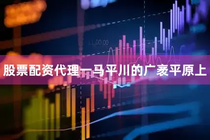 股票配资代理一马平川的广袤平原上