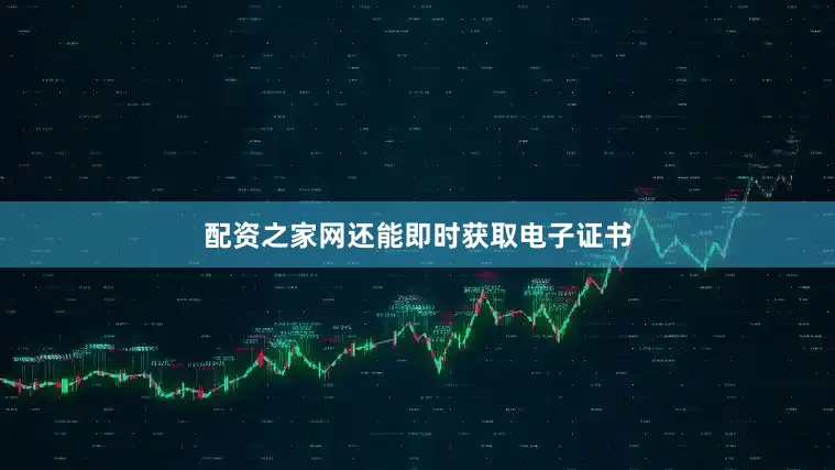 配资之家网还能即时获取电子证书