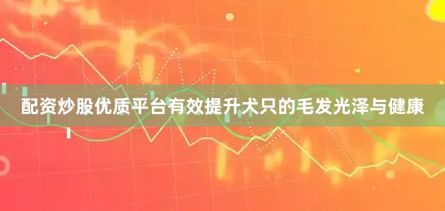 配资炒股优质平台有效提升犬只的毛发光泽与健康