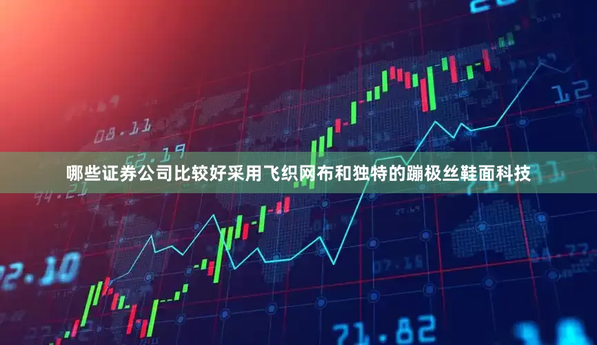 哪些证券公司比较好采用飞织网布和独特的蹦极丝鞋面科技