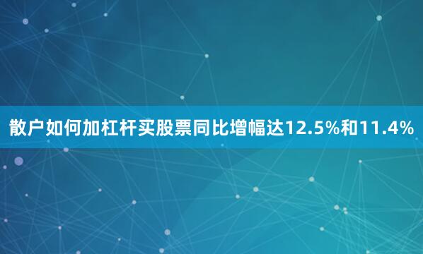 散户如何加杠杆买股票同比增幅达12.5%和11.4%