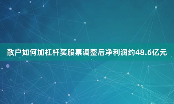 散户如何加杠杆买股票调整后净利润约48.6亿元